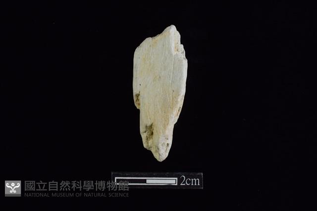 錛鑿形器藏品圖，第1張