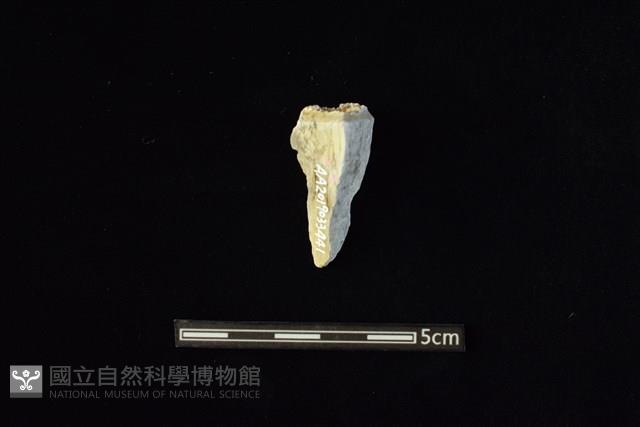 玉料藏品圖，第2張