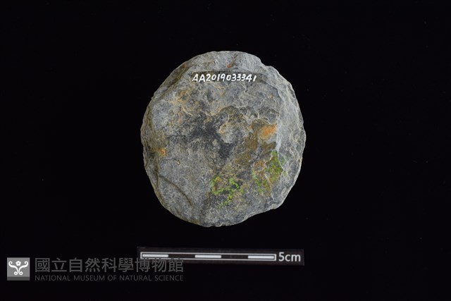 石圓片藏品圖，第2張