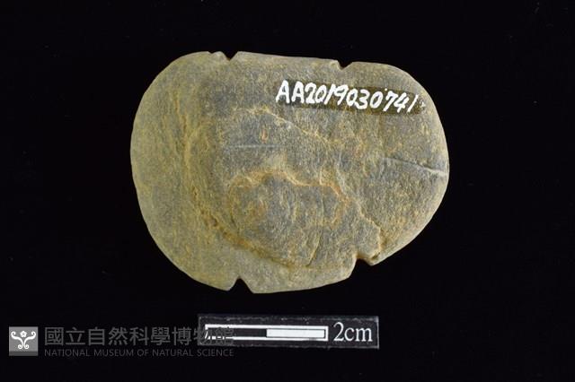 網墜藏品圖，第2張