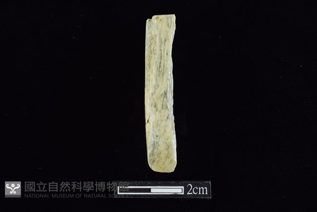 錛鑿形器藏品圖，第1張