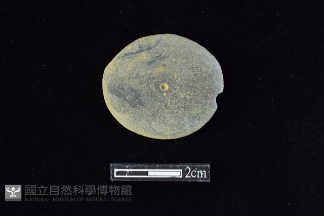 Accession Number:AA2019034061 Collection Image, Figure 1, Total 2 Figures