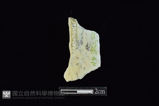 玉環藏品圖，第1張