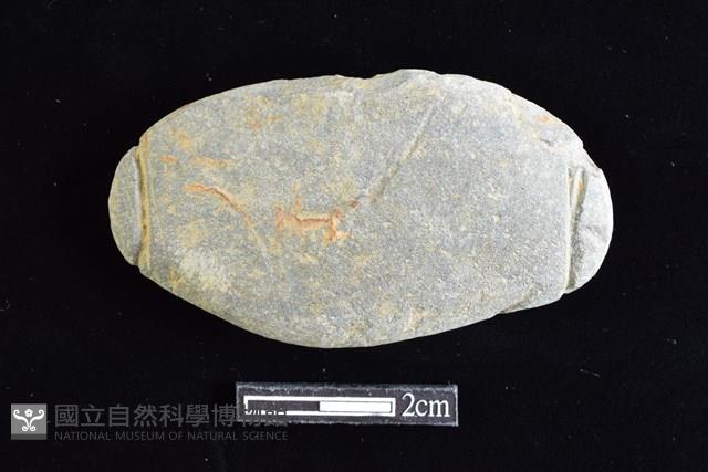 網墜藏品圖，第1張