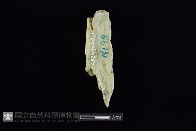 錛鑿形器藏品圖，第1張