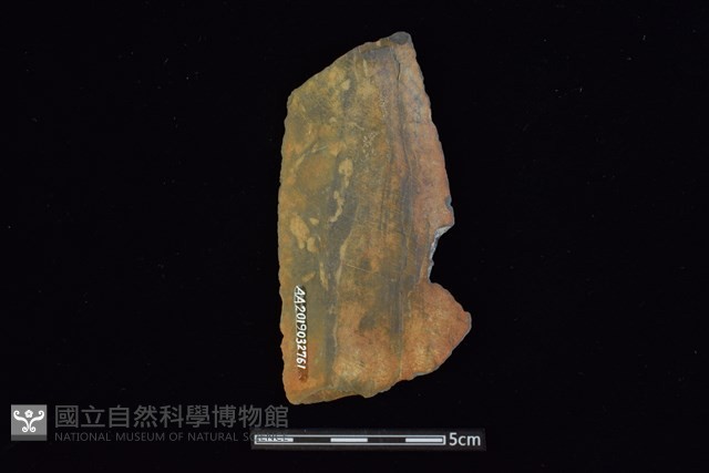矛鏃形器藏品圖，第2張