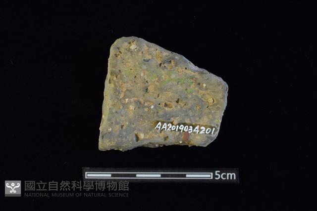 陶片藏品圖，第2張