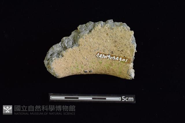 陶罐藏品圖，第2張