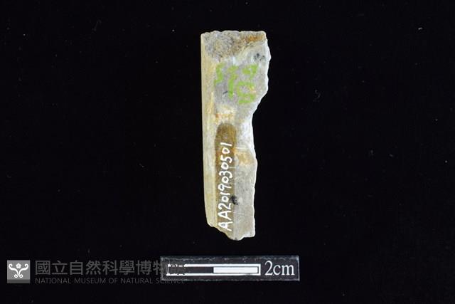 錛鑿形器藏品圖，第2張