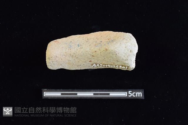 陶罐藏品圖，第2張