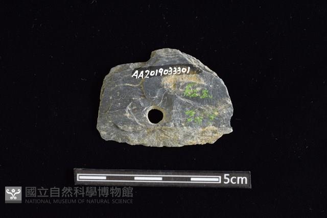 穿孔石板藏品圖，第2張