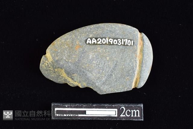 網墜藏品圖，第2張