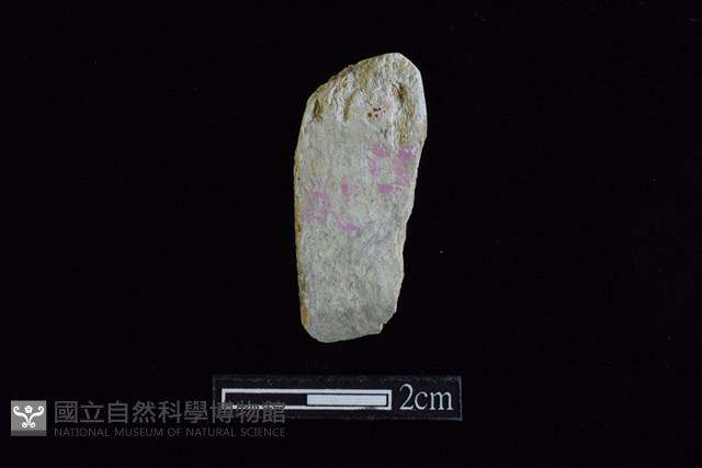 錛鑿形器藏品圖，第1張