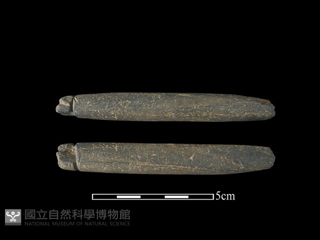 網墜藏品圖，第1張