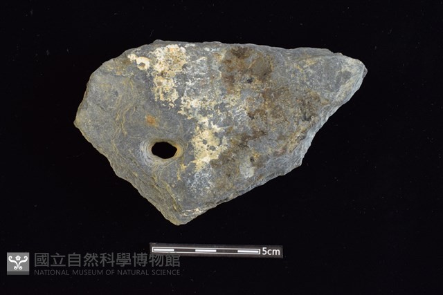 穿孔石板藏品圖，第1張