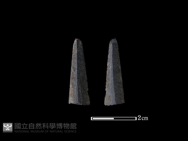矛鏃形器藏品圖，第1張