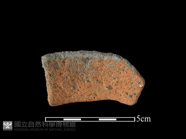 陶罐藏品圖，第2張