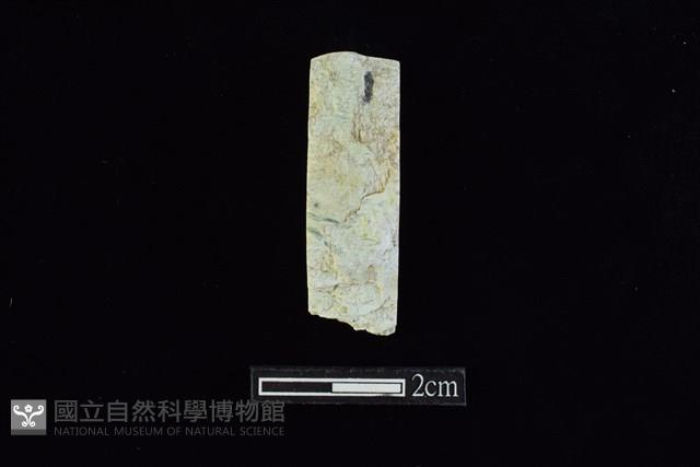 錛鑿形器藏品圖，第1張