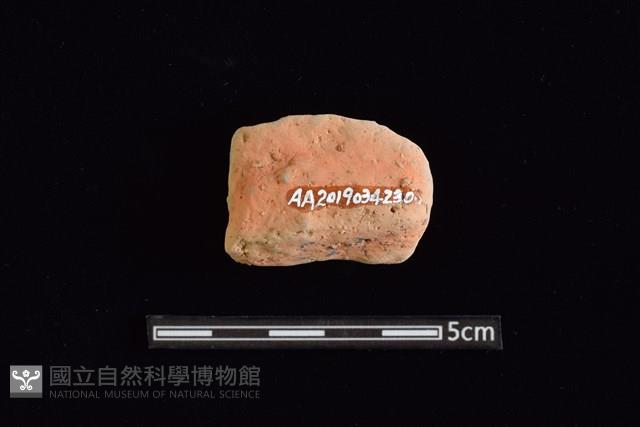 陶片藏品圖，第1張