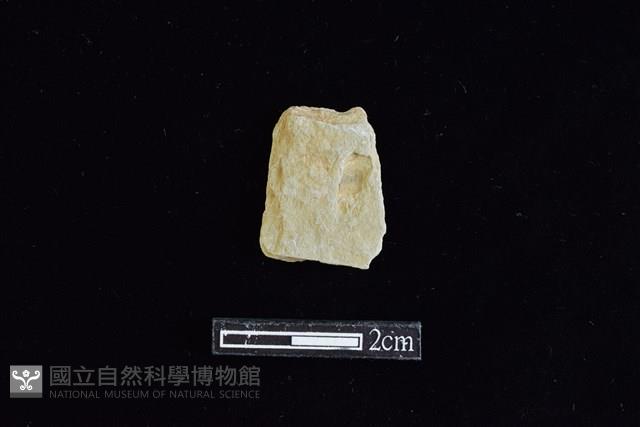 石材藏品圖，第1張