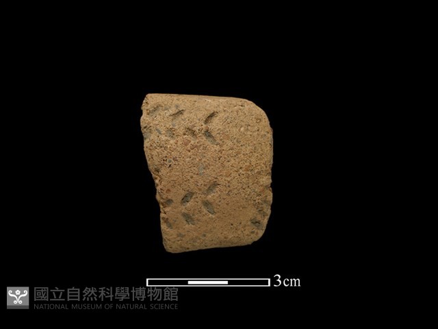 陶把藏品圖，第1張