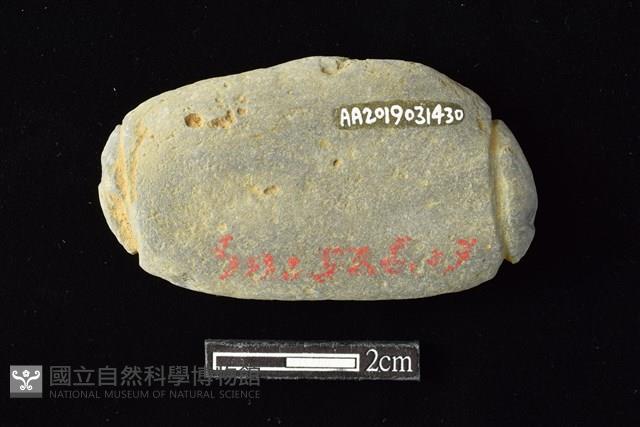 網墜藏品圖，第2張