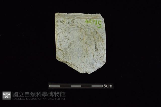 錛鑿形器藏品圖，第1張