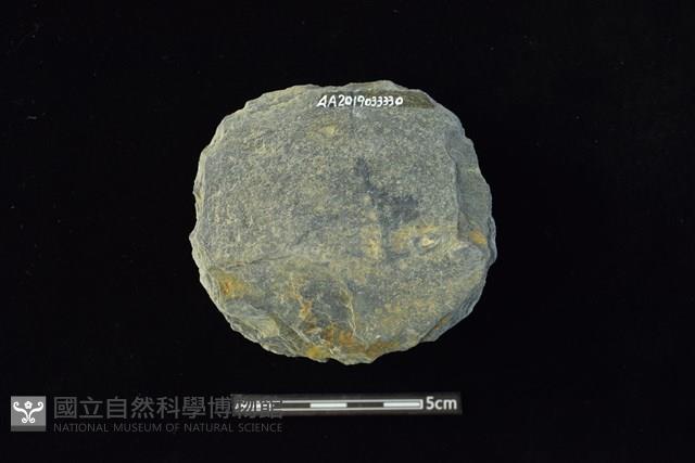 石圓片藏品圖，第2張