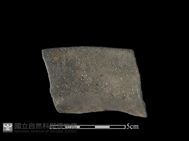 陶罐藏品圖，第2張