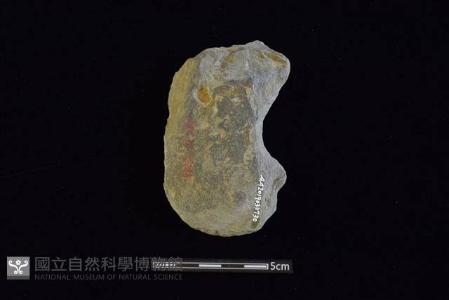 石器殘件藏品圖，第2張