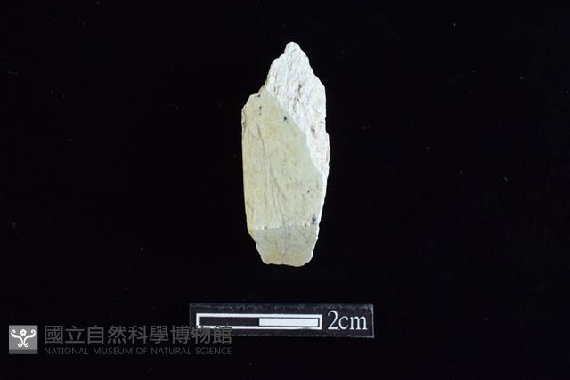 錛鑿形器藏品圖，第1張