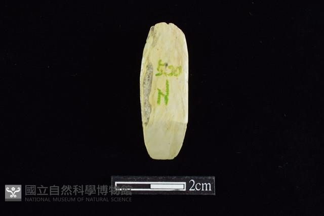 錛鑿形器藏品圖，第1張