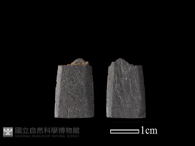 矛鏃形器藏品圖，第1張