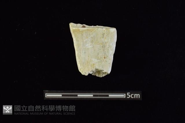錛鑿形器藏品圖，第1張