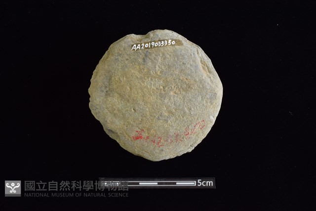 石圓片藏品圖，第2張