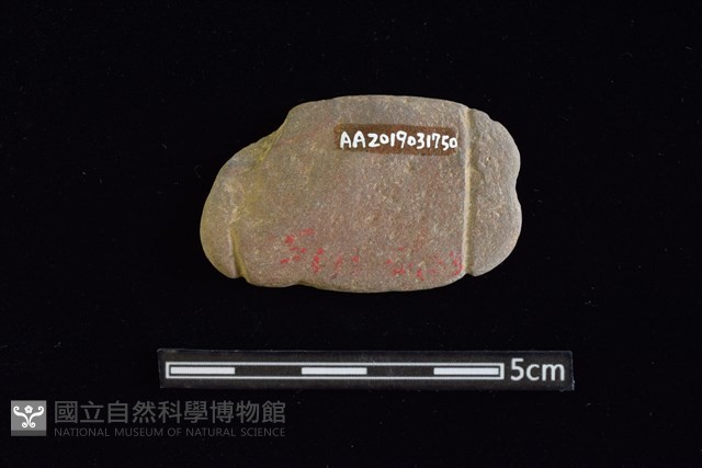 網墜藏品圖，第2張