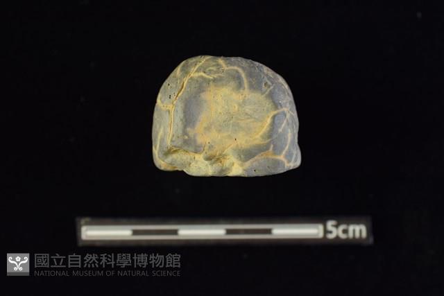 陶紡輪藏品圖，第2張