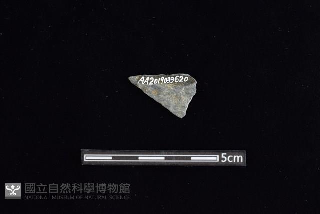 Accession Number:AA2019033620 Collection Image, Figure 2, Total 2 Figures