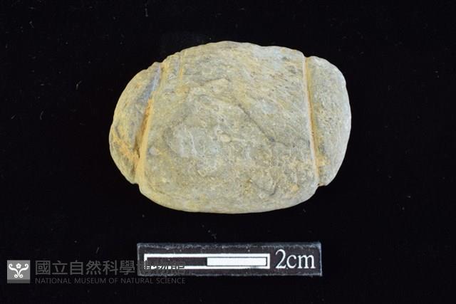 網墜藏品圖，第1張