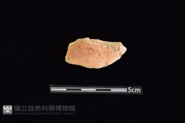 陶罐藏品圖，第1張