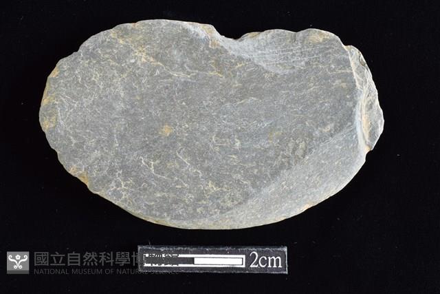 網墜藏品圖，第2張