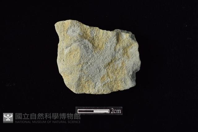 錛鑿形器藏品圖，第2張