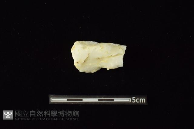 石材藏品圖，第2張