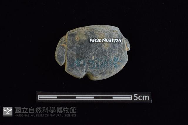 網墜藏品圖，第2張