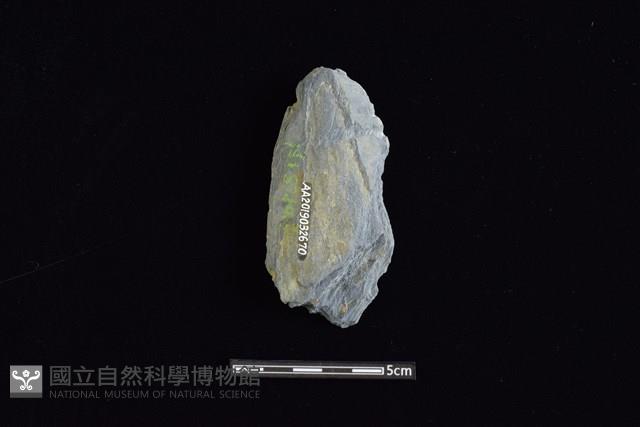 戈形器藏品圖，第2張