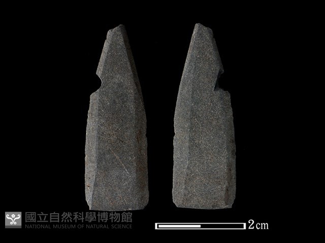 矛鏃形器藏品圖，第1張