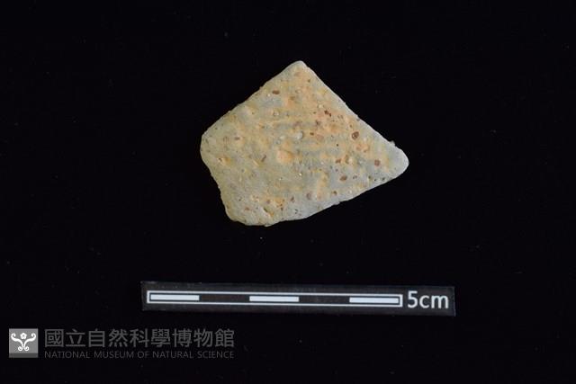 陶片藏品圖，第1張