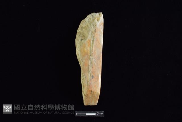 錛鑿形器藏品圖，第1張
