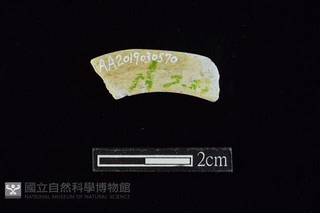 玉料藏品圖，第1張