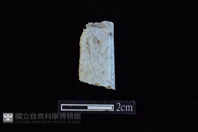 錛鑿形器藏品圖，第1張